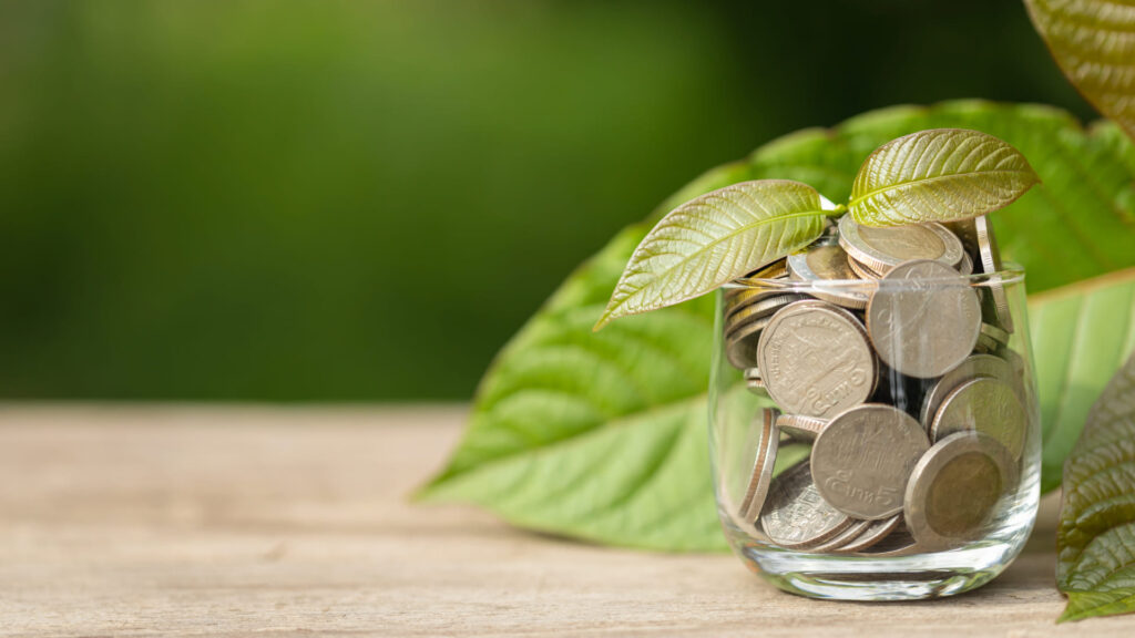 Investing In Kratom: Should You Go For It?